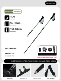 Lake Green / Up to 170 cm / Pair (2 Poles)