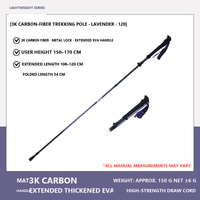 3K Carbon / Lavender / 150-170 cm / Pair (2 Poles)
