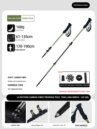 Lake Green / Up to 190 cm / Pair (2 Poles)