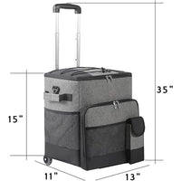 Gray Bag + Trolley