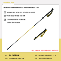3K Carbon / Rapeseed Yellow / 170-190 cm / Pair (2 Poles)