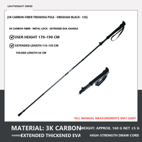 3K Carbon / Obsidian Black / 170-190 cm / Pair (2 Poles)