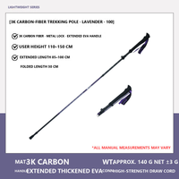 3K Carbon / Lavender / 110-150 cm / Pair (2 Poles)